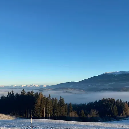 Japaner Haus 펜션 *