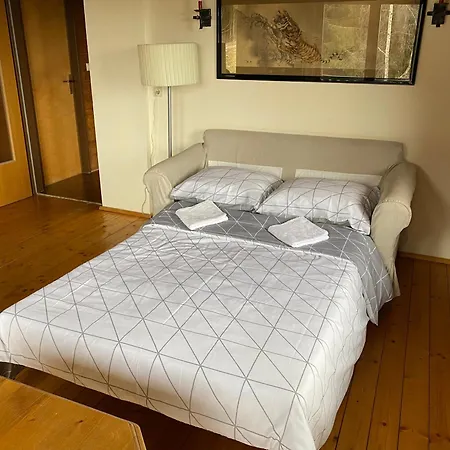 Japaner Haus בית נופש *